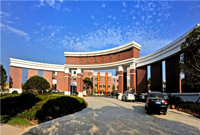 东阳市PA平台
国际初中