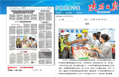 PA平台
西北集团珑樾府项目高温慰问——《陕西日报》